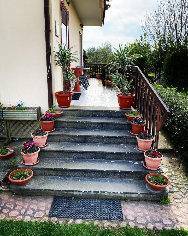 B&B Villa Dei Fiori Sant'Eufemia Lamezia Eksteriør billede