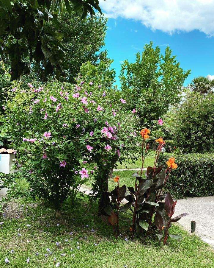 B&B Villa Dei Fiori Sant'Eufemia Lamezia Eksteriør billede