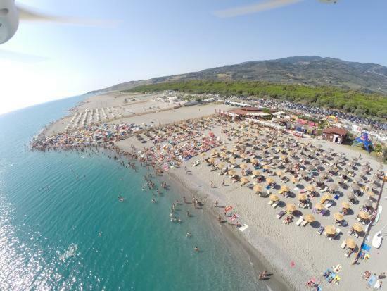 B&B Villa Dei Fiori Sant'Eufemia Lamezia Eksteriør billede